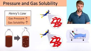 Pressure and Gas Solubility Henrys Law [upl. by Tingley]