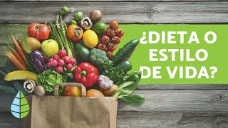 Diferencia entre VEGANO VEGETARIANO y CRUDIVEGANO [upl. by Karie]