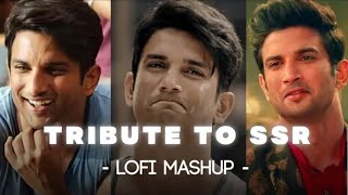 TRIBUTE TO SSR Lofi Mashup  Phir Kabhi × Qaafirana × Jaannisar  Jaz scape  🎧 [upl. by Ethyl]