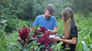 Harvesting Amaranth Seeds  Simple Seed Saving from a Wonderful Crop [upl. by Beacham]