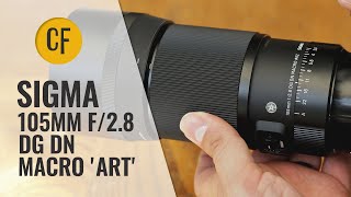 Sigma 105mm f28 DG DN Macro Art lens review Fullframe amp APSC [upl. by Hellene]