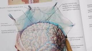 Dural Venous Sinuses part 1 very easy to understand [upl. by Dyann255]