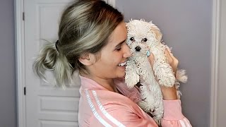 SURPRISING GIRLFRIEND WITH A PUPPY EXTREMELY CUTE [upl. by Mcgean]