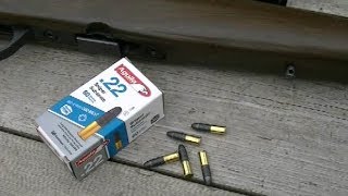 Aguila 22 Sniper Subsonic Ammo Test [upl. by Adlesirhc]