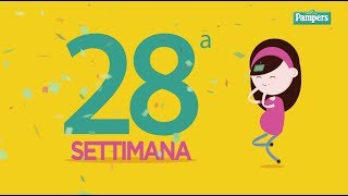 28° settimana di gravidanza [upl. by Kylstra]