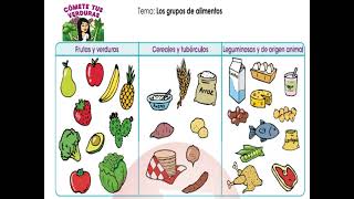 LOS GRUPOS DE ALIMENTOS [upl. by Pansie]