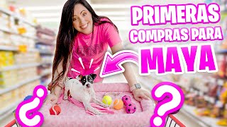 PRIMERAS COMPRAS para MAYA Perrito Bebé 🐶 HAUL Puppy Shopping Spree 😅 Sandra Cires Art [upl. by Anadal172]