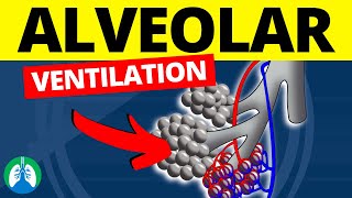 Lung Protective Ventilation [upl. by Melda]