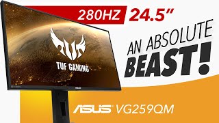 ASUS TUF VG259QM  An ABSOLUTE MONSTER  Detailed Review [upl. by Wesley]