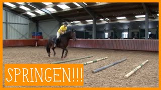 Basis springen  PaardenpraatTV [upl. by Chapnick86]